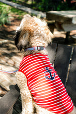 Navy Stripe Anchors Collar