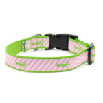 Pink Stripe Alligator Collar