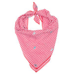 Gingham Chomp Bandana