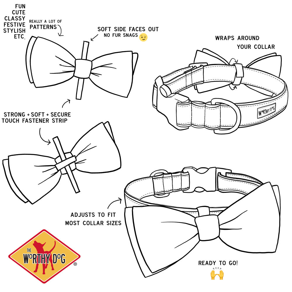 Cinco de Mayo Bow Tie