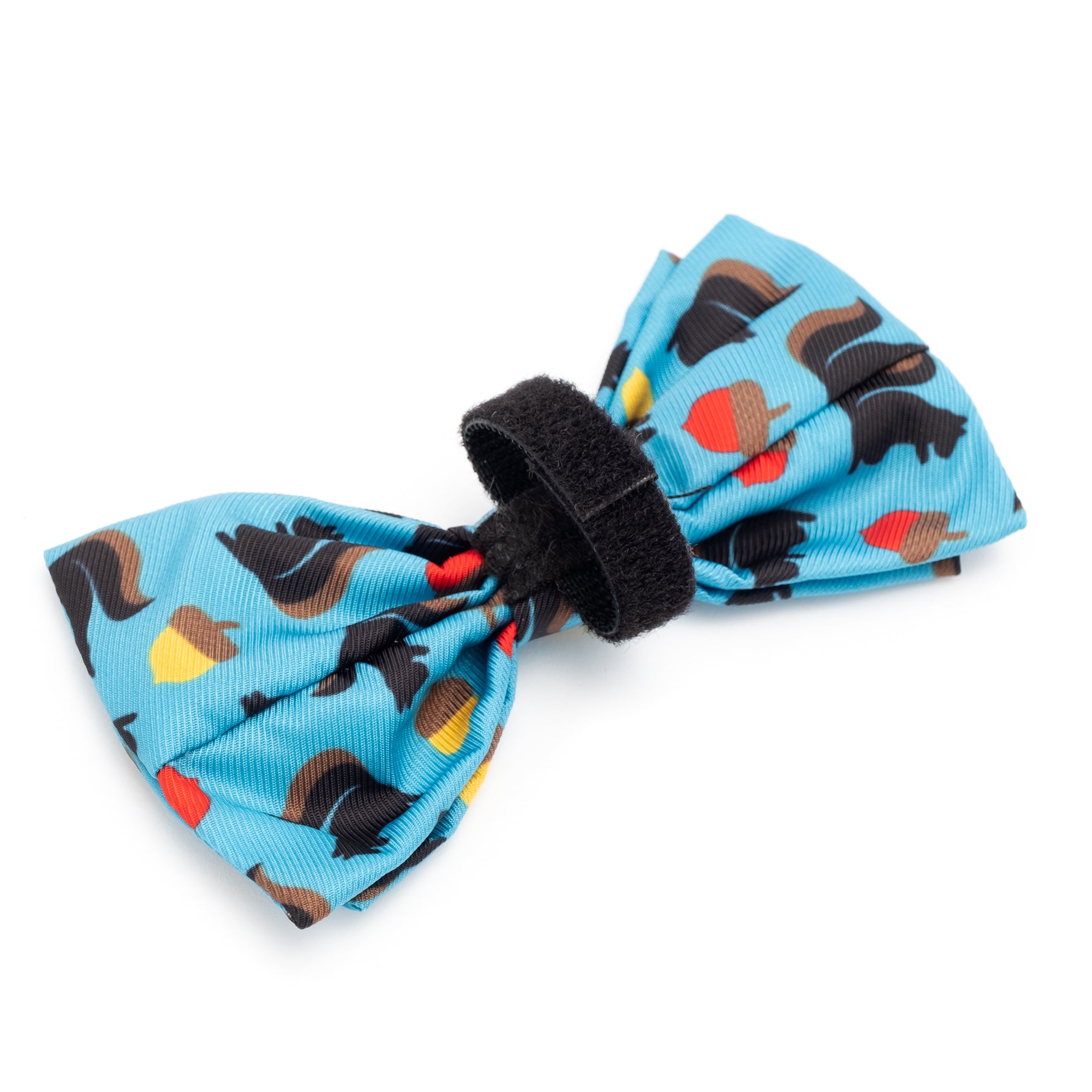Squirrely Bow Tie