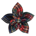 Black Stewart Flower