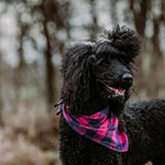Pink/Navy Buffalo Check Bandana