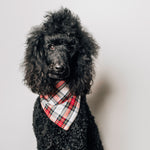 Stewart Tartan Green Bandana