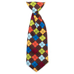 Autumn Argyle Neck Tie