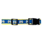 Cheers! Collar