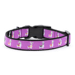 Llamas Collar