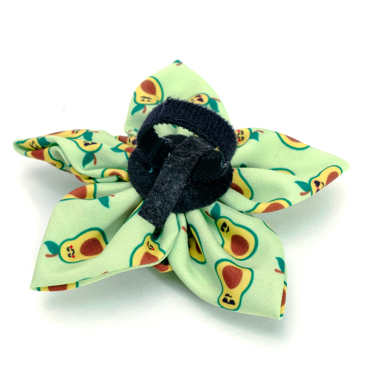 Avocados Flower