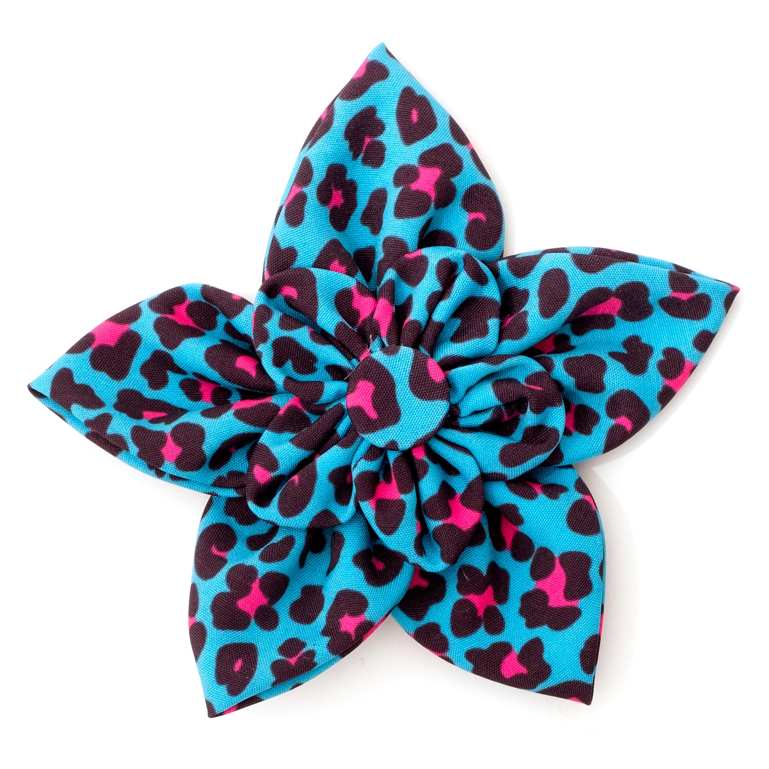 Leopard Flower