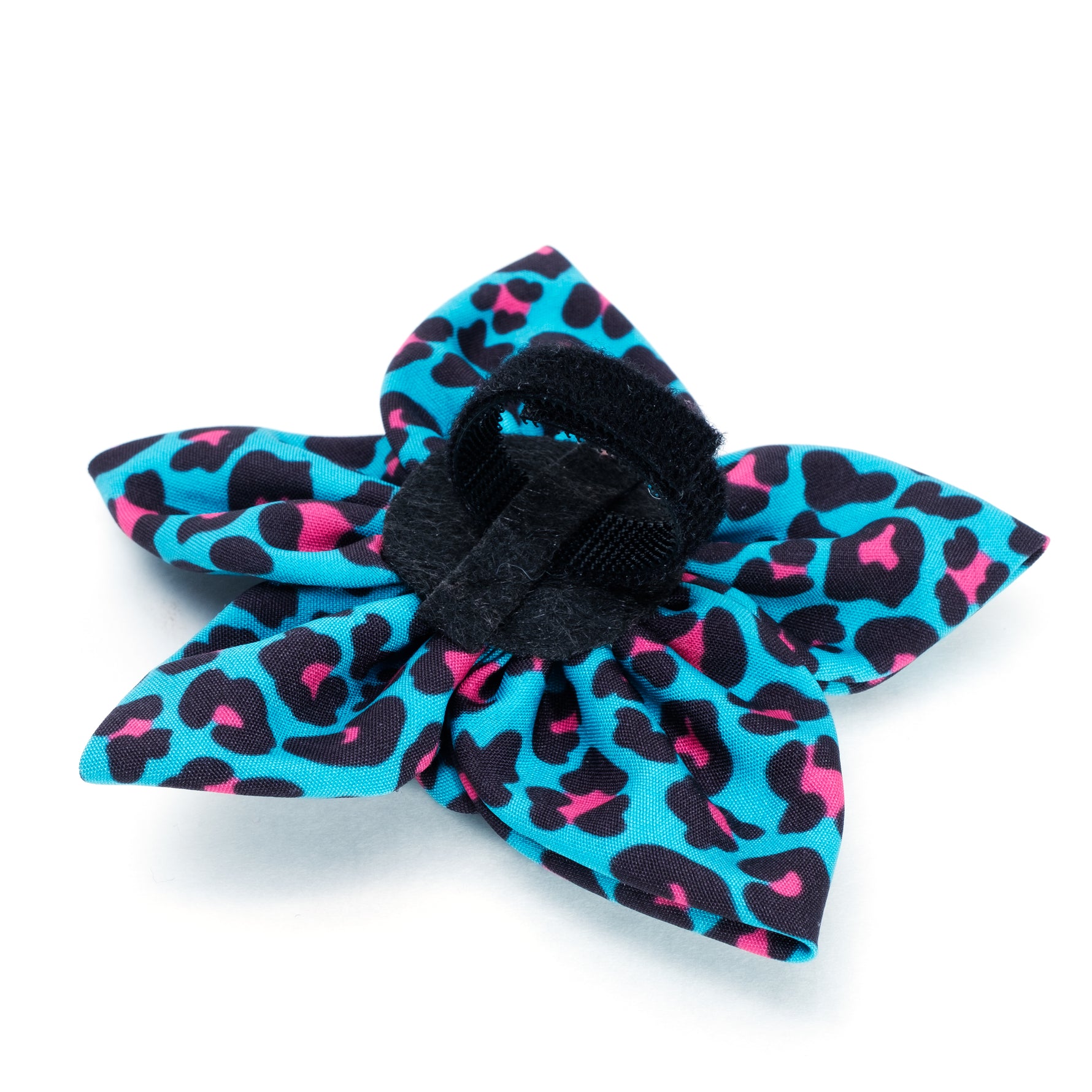 Leopard Flower