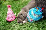 Birthday Hat Toy
