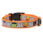 Monster Mash Collar