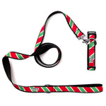 Holiday Stripe Lead