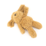 The Worthy Dog Toy