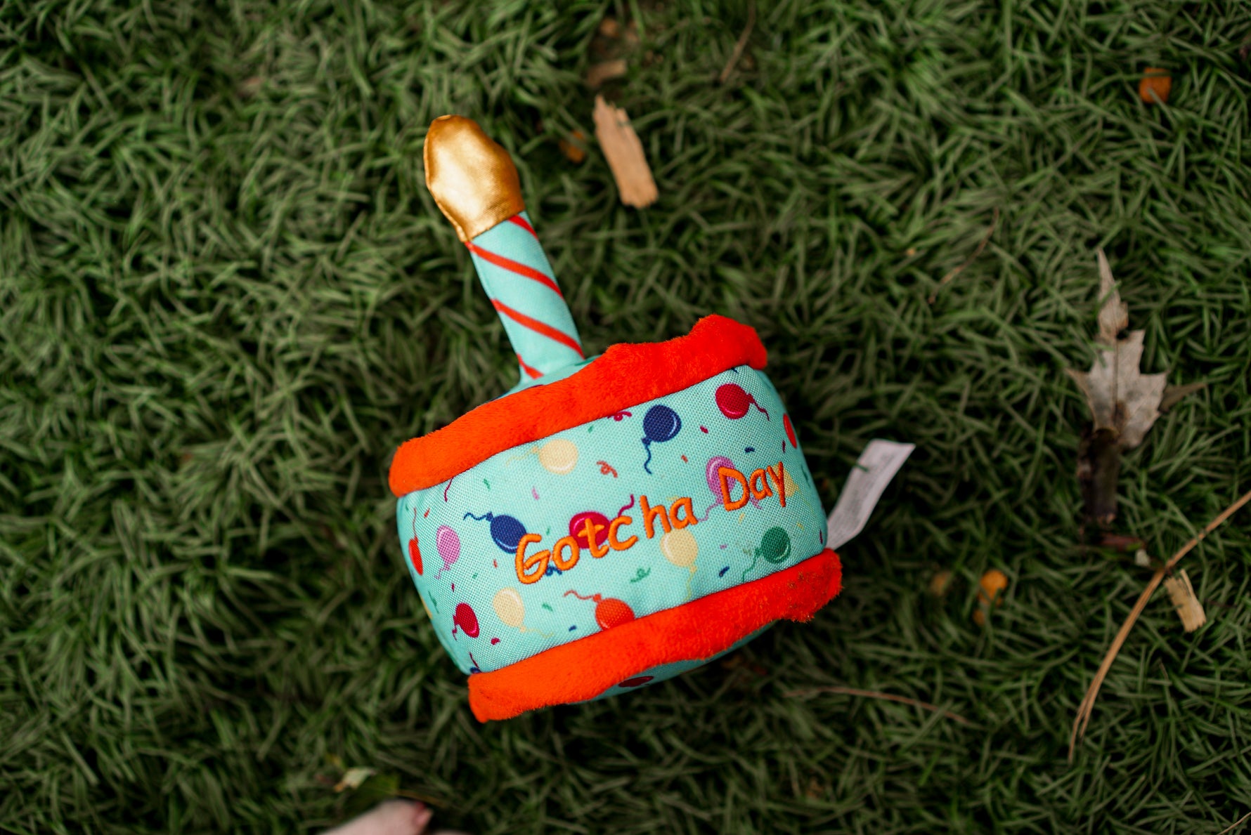 Gotcha Day Cake Toy