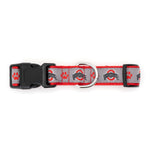 Ohio State Athletic O Paw Print Collar