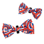 Kaleidoscope Bow Tie