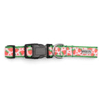 Strawberries Collar