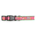 Summer Cheer Collar