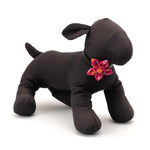 Puppy Love Flower