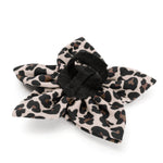 Leopard Flower