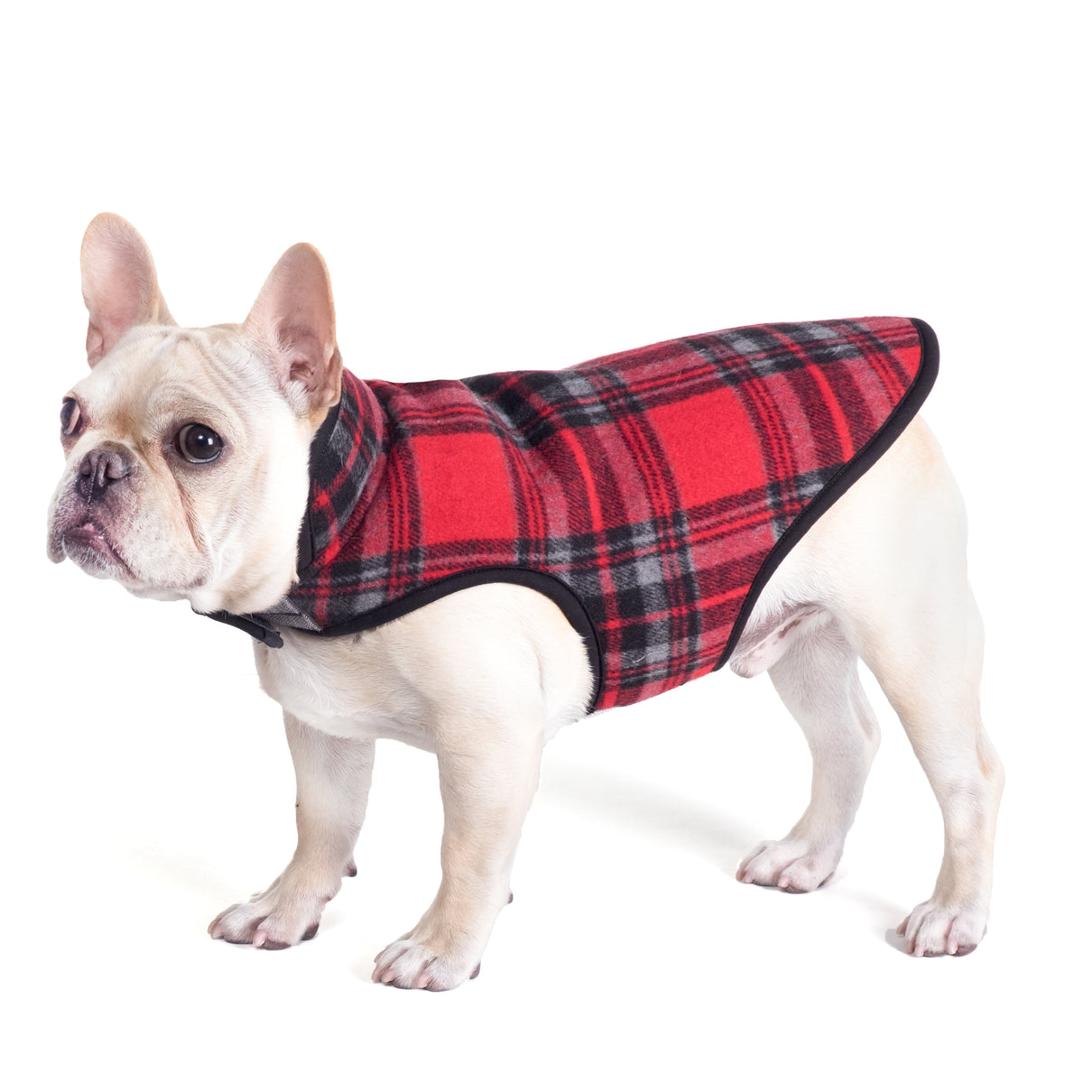 Alpine Jacket