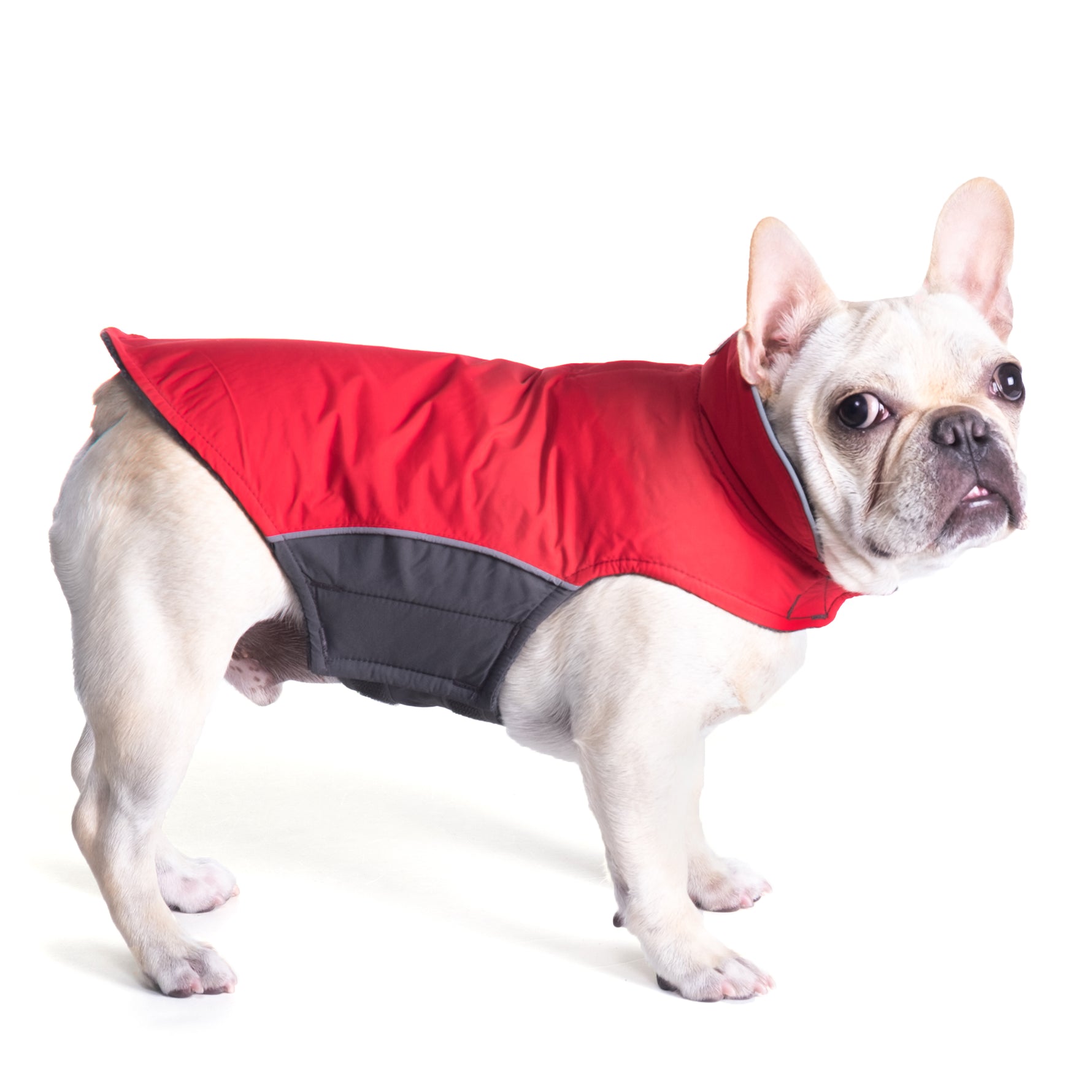 Apex Jacket