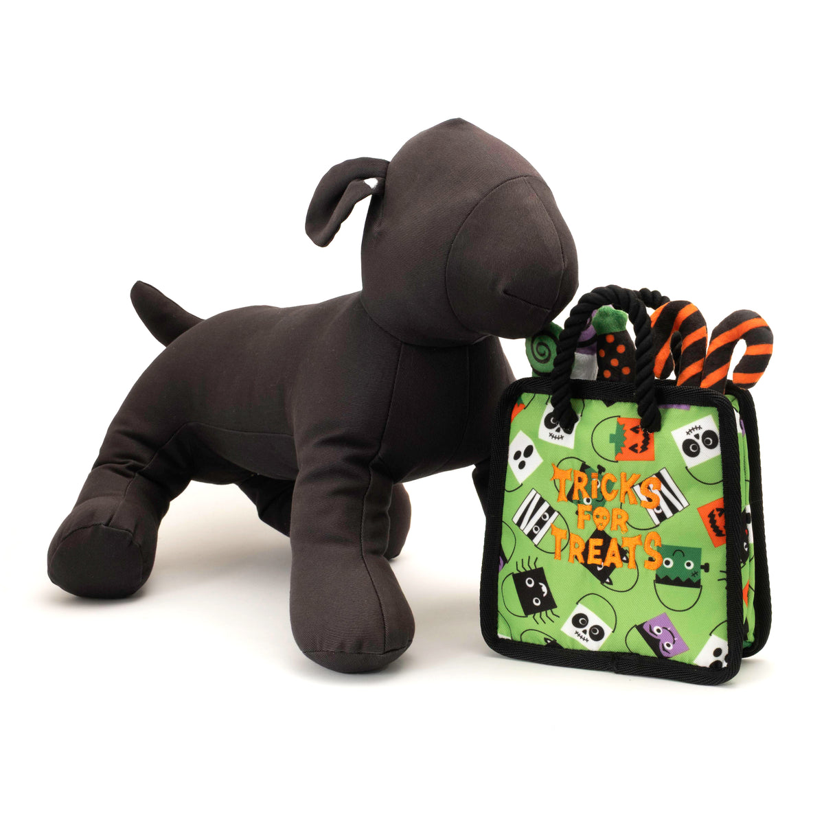 Tricks for Treats Bag Dog Toy