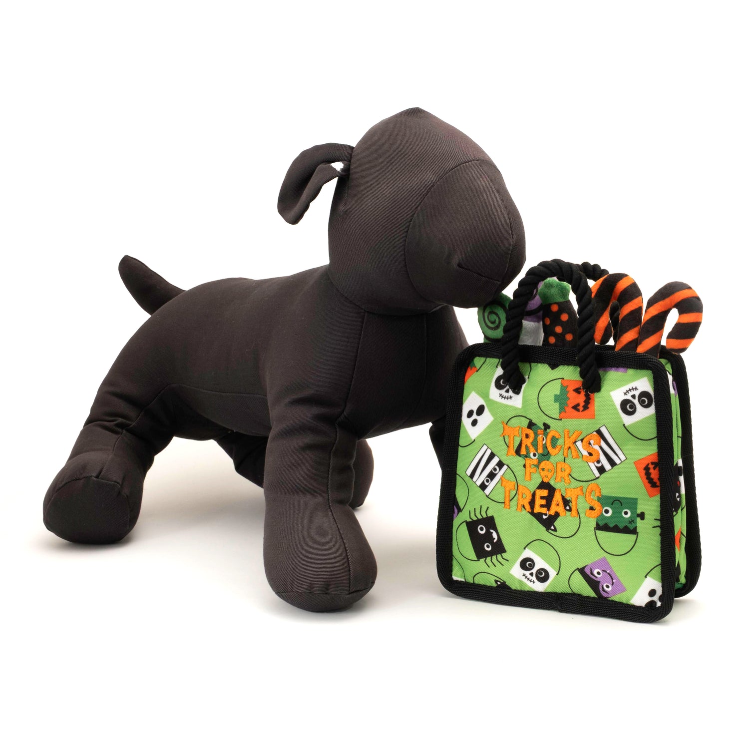 Tricks for Treats Bag Dog Toy