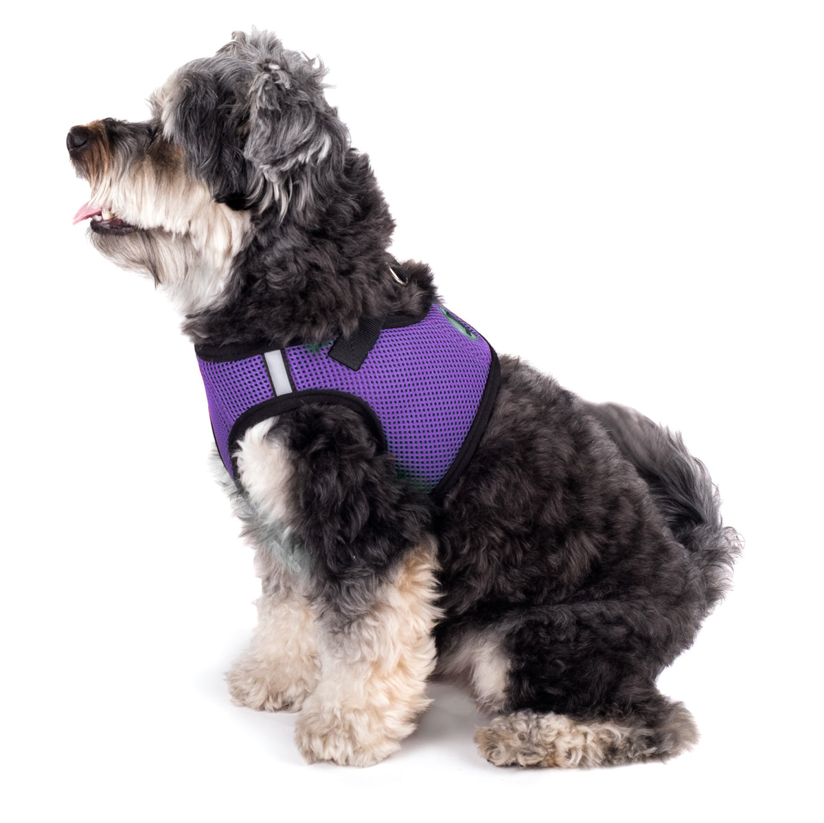 Sidekick Harness