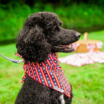 Bias Stars and Stripes Bandana