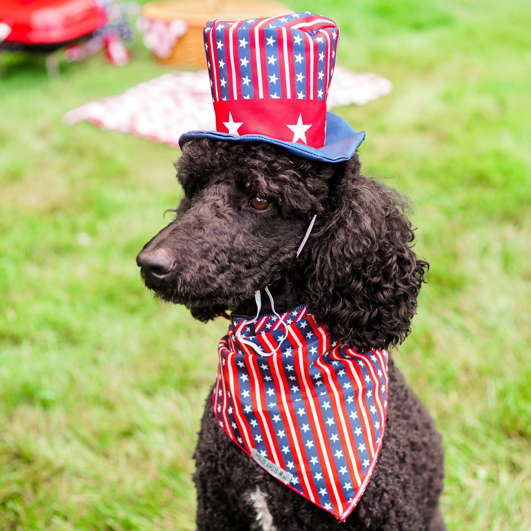 Uncle Sam Party Hat
