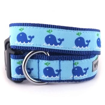 Squirt Collar