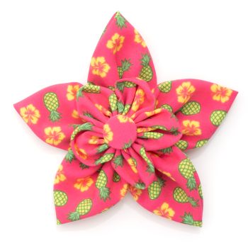 Pineapples Flower