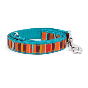 Fall Fiesta Stripe Lead