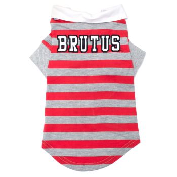 Ohio State Brutus Rugby
